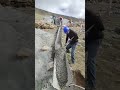 This Concrete Chute System Is Pure Engineering Genius! 😲