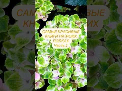 САМЫЕ КРАСИВЫЕ КНИГИ НА МОИХ ПОЛКАХ 📚
