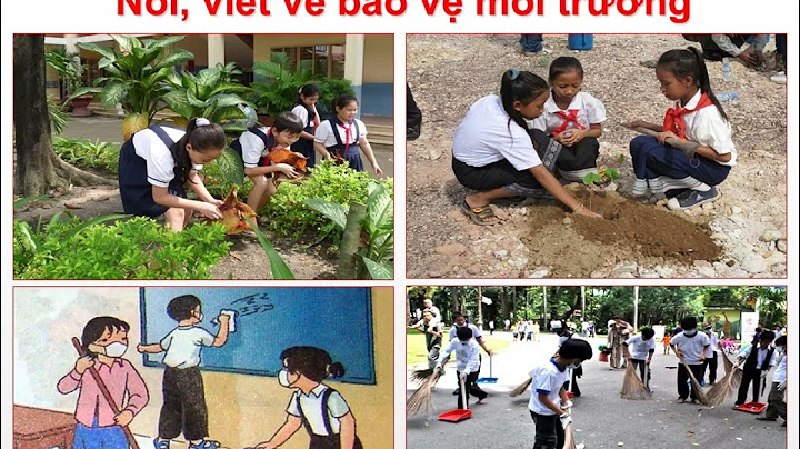 Bài văn viết về bảo vệ môi trường lớp 7 năm 2024