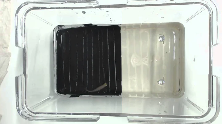 OpenCV fish movement tracking, first approach