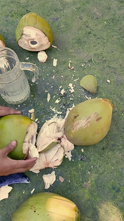 Perbedaan Nyata Antara Kelapa Hijau Muda dan Kelapa Coklat Matang