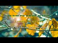 어느 소녀의 사랑이야기 ( Love Story of a Girl) - 민해경 (Min Hae -kyung)