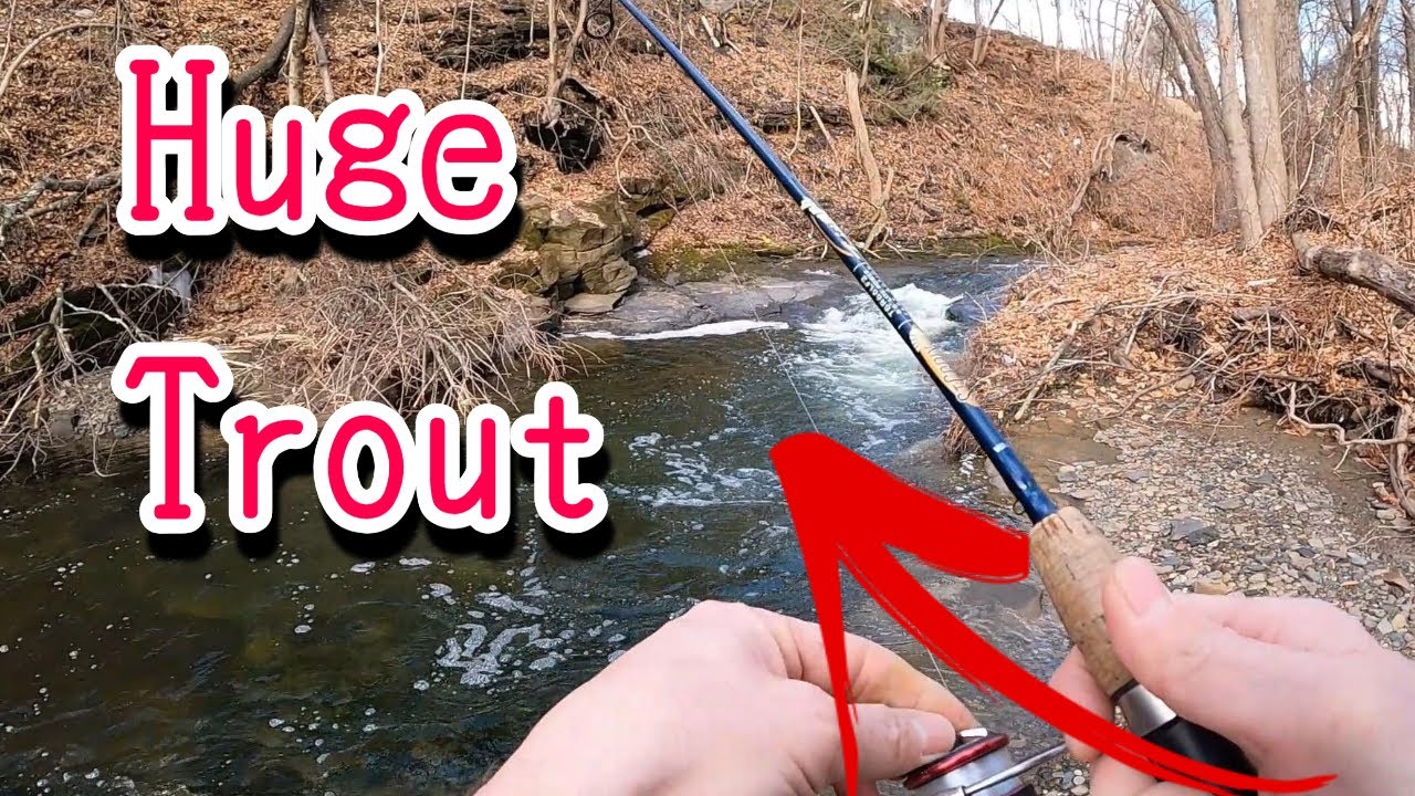 I caught A Huge Trout!  Camp And Cook Delaware State Forest! (venison Fajitas)