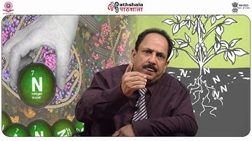 Overview of Bioinformatics