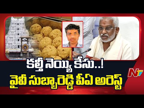 TTD Adulterated Ghee Case: కల్తీ నెయ్యి కేసు.. వైవీ సుబ్బారెడ్డి పీఏ అరెస్ట్ | NTV Telugu - NTVTELUGU