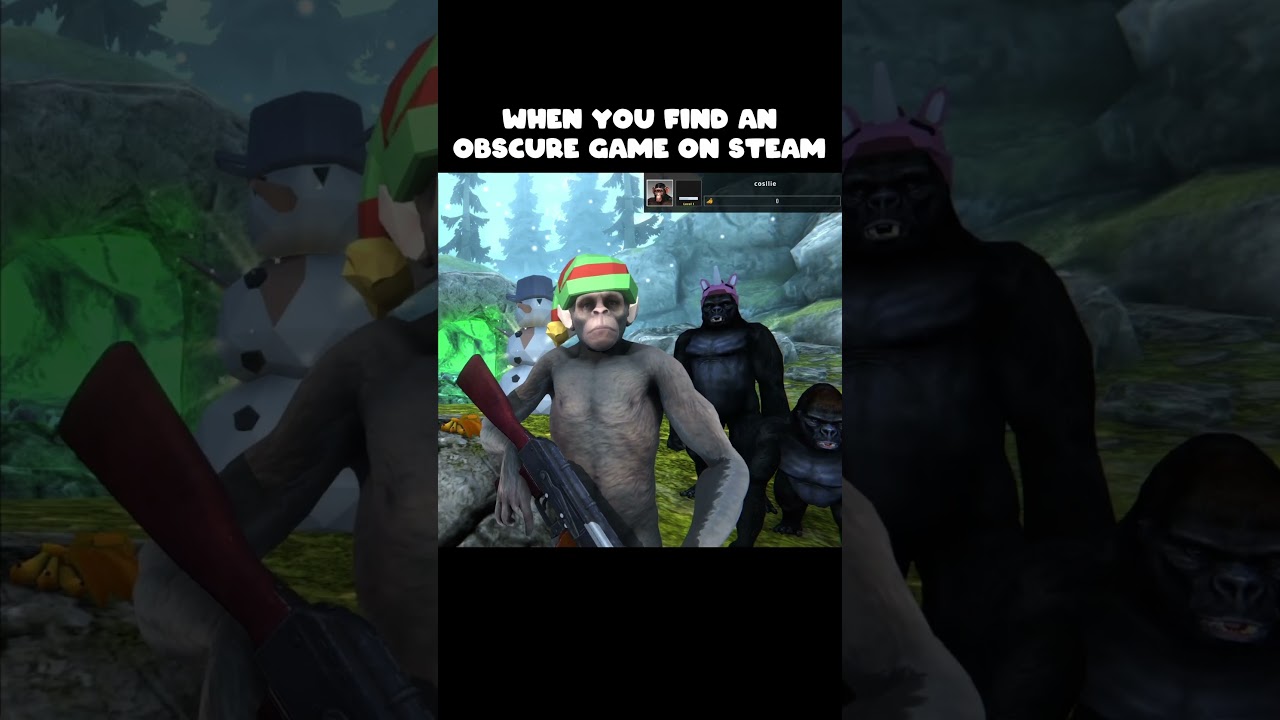 When you find an obscure game on steam