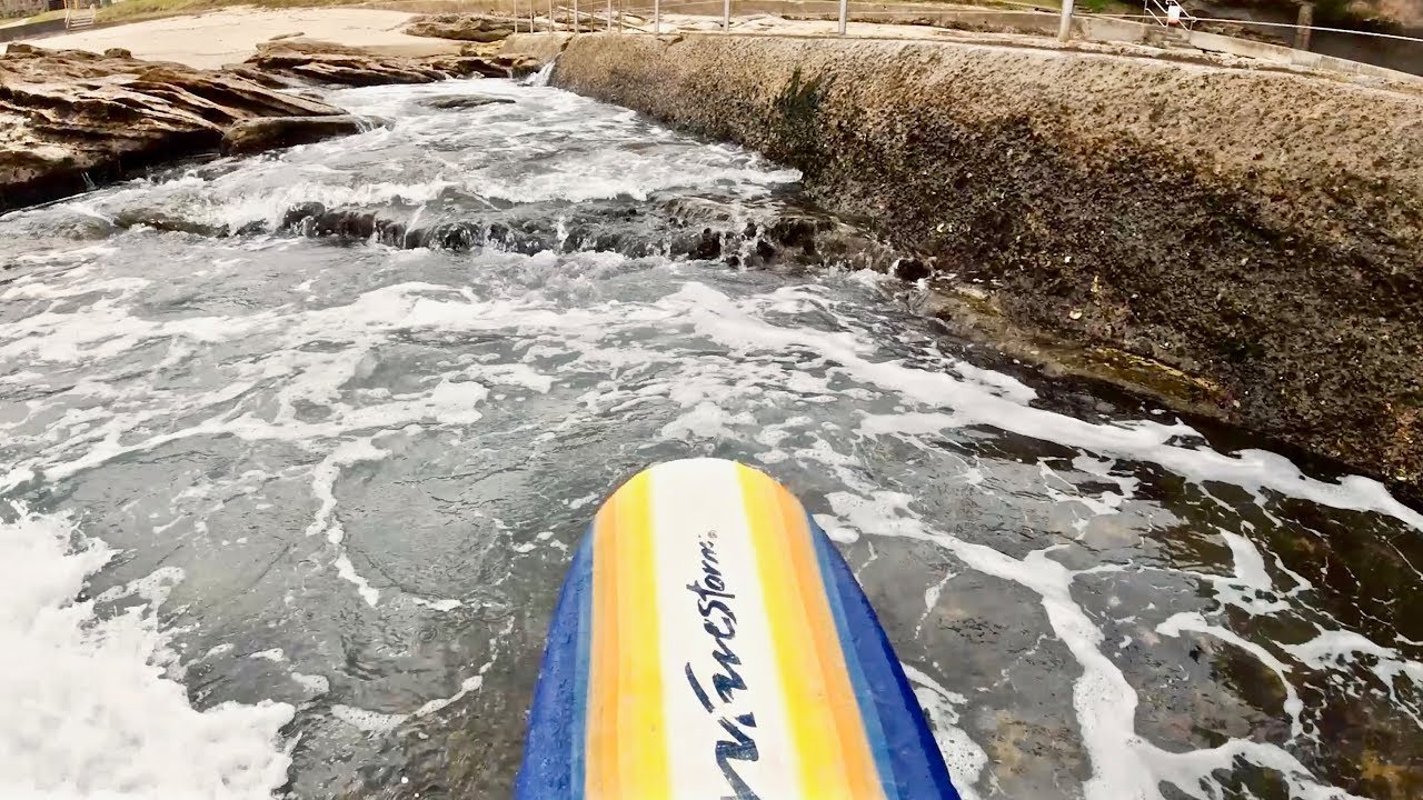 RARE NOVELTY WAVE SURFING IN SYDNEY HARBOUR YouTube