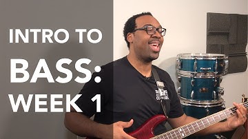Intro to Bass - Parts of the Bass, Plucking, and the Chromatic Scale (Starving Artists Courses)