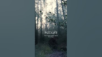 سورة النازعات [٣٥-٤١]