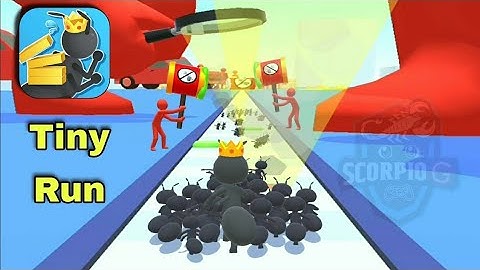 Tiny Run 3D All Levels Gameplay Walkthrough (iOS,  Android) 😎