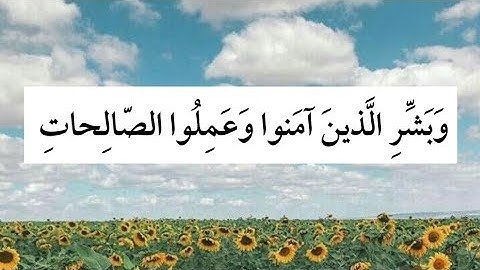 سورة البقره من اية 25 إلى اية 26 بصوت القارئ ماهر المعيقلي #القرآن_الكريم