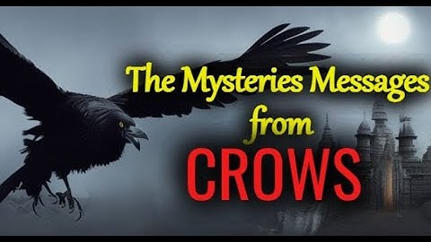 The Mysteries Messages from Crows, Understanding the Spiritual Meanings of Crows