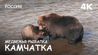 Bears fishing. Kuril Lake. World of Adventures. 4K.