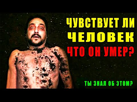 Знает Ли Человек Что Он Умер Что Об Этом Говорит Религия Ислам И Наука