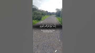 القرآن الكريم.تلاوة هادئة #استغفرالله #راحة_نفسية #تيك_توك #لايك #استغفار #اكسبلور