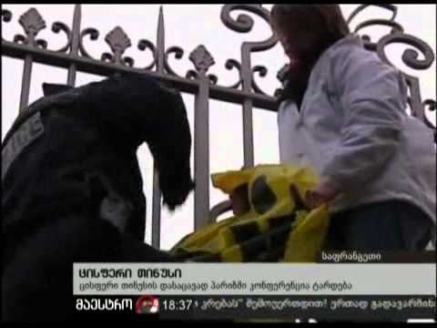 19/11/10 ცისფერი თინუსი