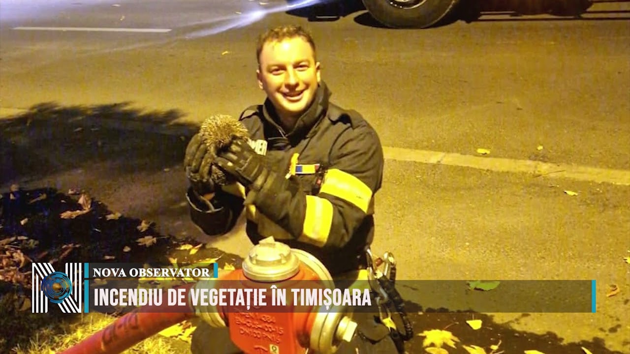 Incendiu de vegetație în Timișoara