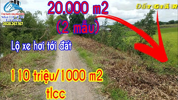 🔴Số 100- Bán đất long an | Bán đất ruộng 2 mẫu, huyện tân thạnh | Đất nông nghiệp | Đất Long an