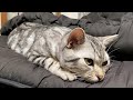 パパに相手にされず拗ねてしまいました