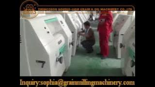 100 T D  wheat flour milling machinery-Double-lion Grain Milling Machinery Co.,ltd