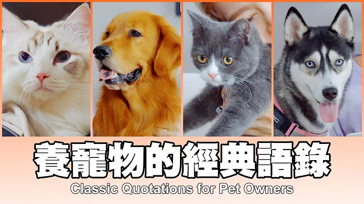 這群人 TGOP │養寵物的經典語錄 Classic Quotations for Pet Owners - 天天要聞