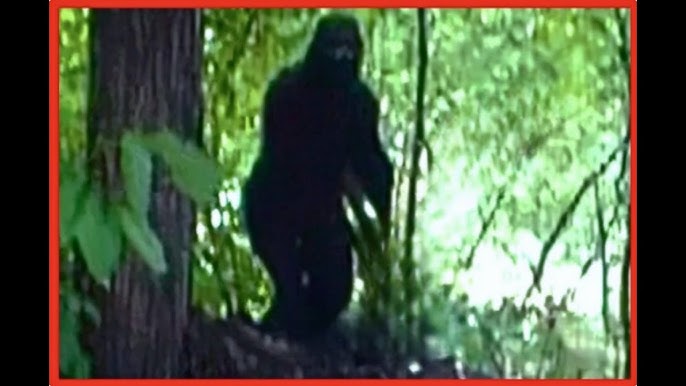 HE SPOTTED BIGFOOT!! The Video That Will Give You Goosebumps!! - YouTube