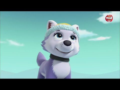 Paw Patrol, La Pat'Patrouille - La jetée de la grande vallée - La Pat'  Patrouille des mers - Extrait - Paw Patrol, la Pat'Patrouille