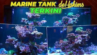 NGISI CORAL LAGI DI TANK LAUT, JADI MAKIN BANYAK BANGETT...!! WARNA-WARNI..!