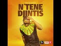 Patche di rima ntene djintis