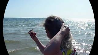 Vignette de la vidéo youtube