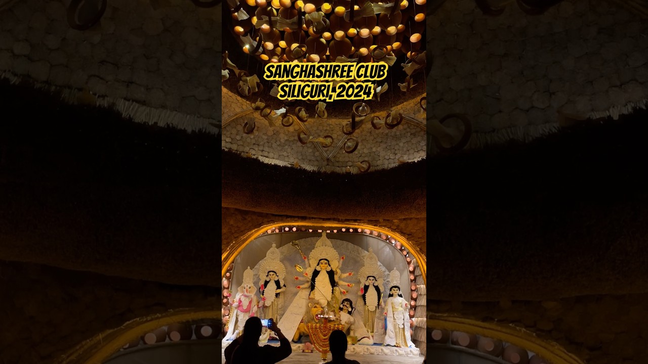 Siliguri Durga Puja Pandal 2024❤️