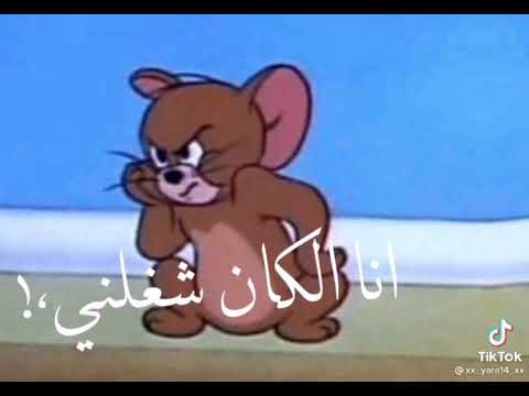 مهرجان انا الي كان شاغلني