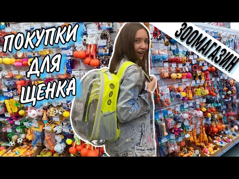 Готовлюсь к появлению щенка дома |первая покупка для щенка🐔😂