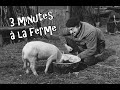 3 minutes  la ferme avec louis de funs 