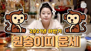 (의정부점집)(띠별운세) 2021년 하반기 원숭이띠 운세!! (점점TV)