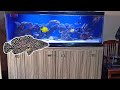 How we do service of our marine aquarium setup seascapes