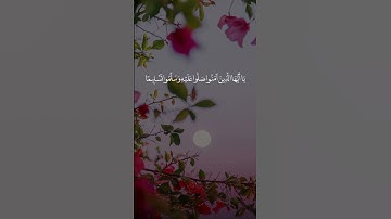 #القرآن_الكريم #تلاوة #قرآن #إسلام #خشوع #راحة_نفسية #تدبر #أجر #تلاوة_خاشعة