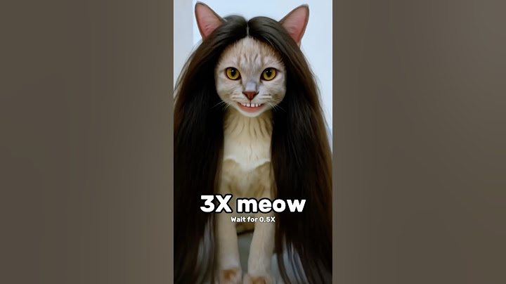 Wait For The Last One Meow #brushvlog #shorts #viral