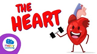 Facts you didn't know about the Heart ❤️ 🩺 | Happy Learning