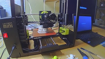 Lulzbot Mini TimeLapse