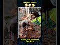 #eyespot  #socialawareness #ytshorts #shorts #shortsviral #shortvideo #wiral #cctv #cccamera