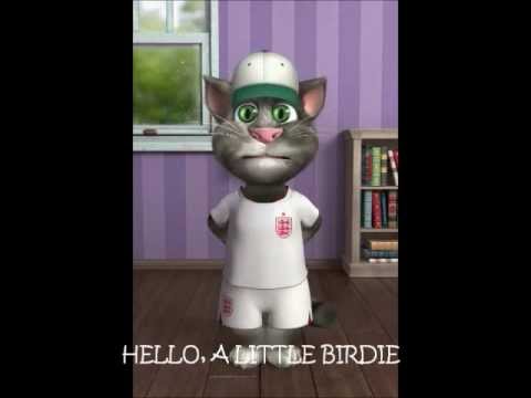 HAPPY BIRTHDAY SONG BY TALKING TOM CAT SPORTING ENGLAND FOOTBALL KIT