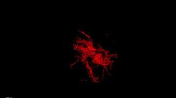 Confocal Capture of Soft Dendritic Colloids