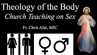 Theology of the Body: Church Teaching on Sex  - Explaining the Faith