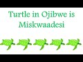 Teaching Tuesday - Miskwaadesi