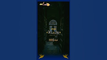 الشيخ عبد الباسط عبد الصمد. #قران_كريم #تلاوة_خاشعة #explore #اكسبلور #shortvideo #دويتو #ترند