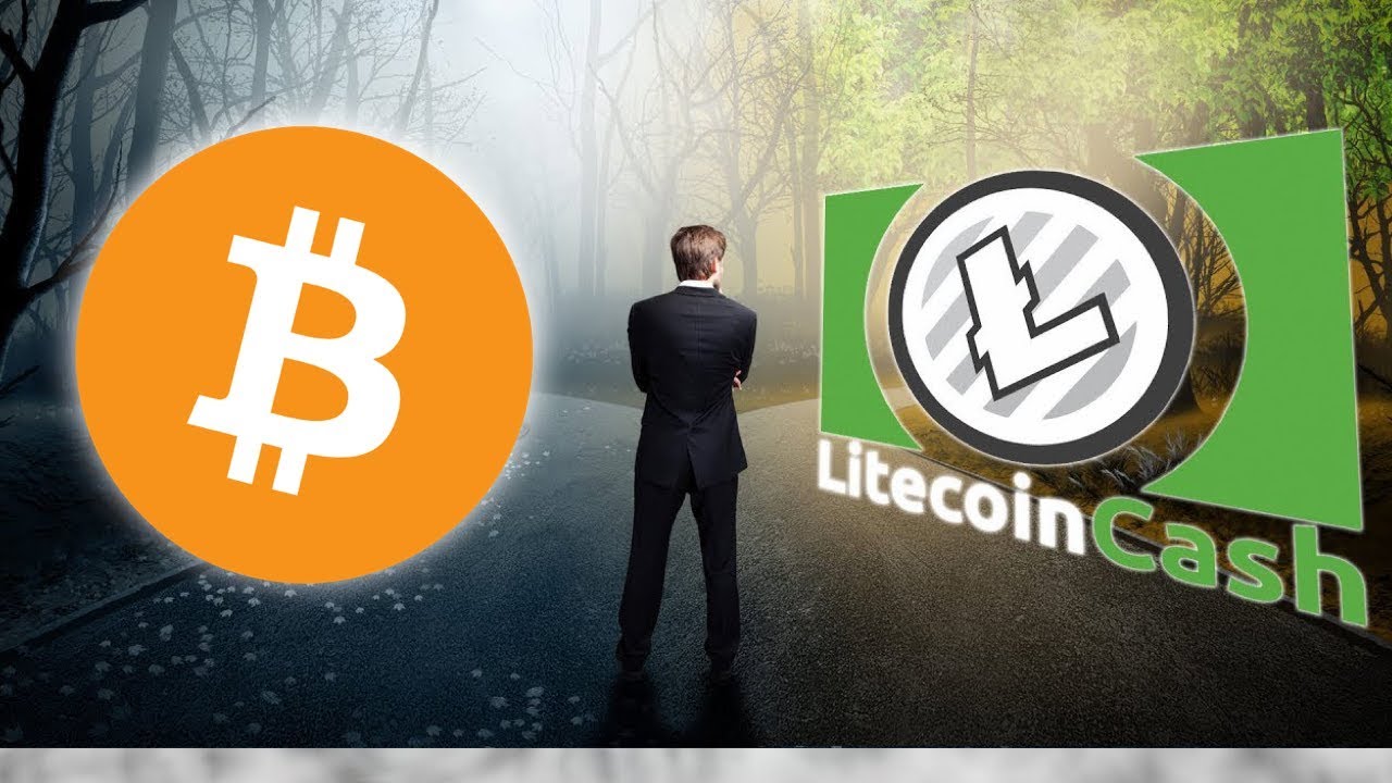 Litecoin Cash Vs Bitcoin Mining Someone Is Making 20k Per Day Mining Lcc - 