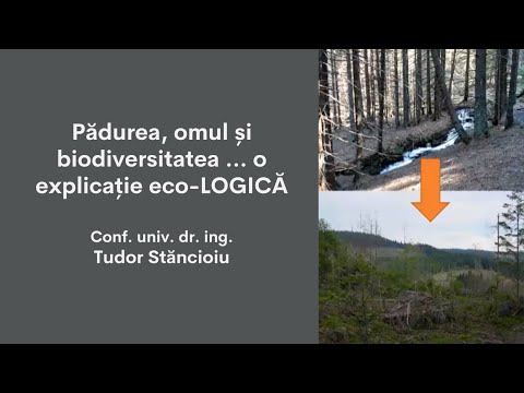 Video: Defrișări - probleme ale pădurii. Defrișarea este o problemă de mediu. Pădurea este plămânii planetei