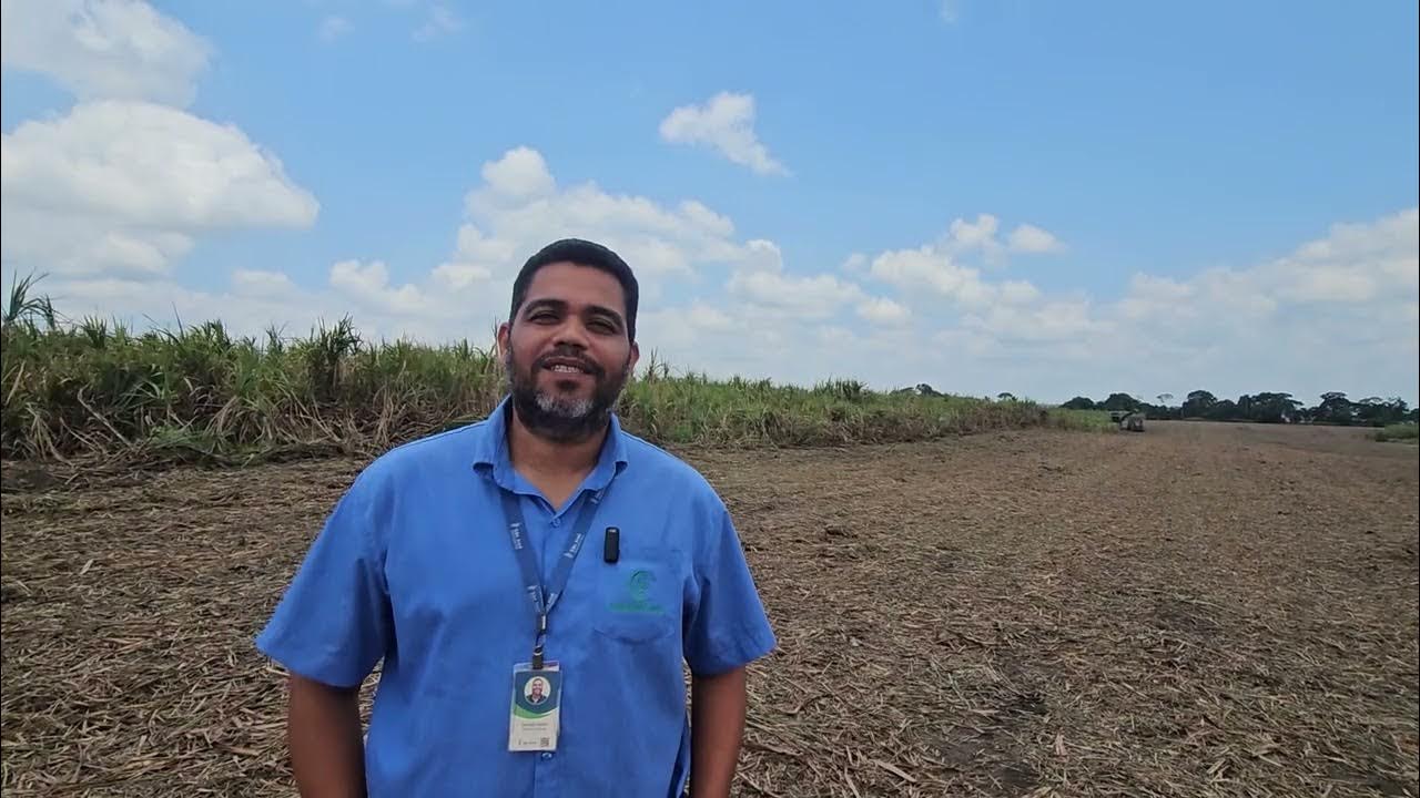 Escassez de mão de obra estimula a São José Agroindustrial a mecanizar as operações agrícolas