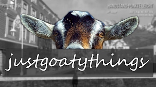 justgoatythings | Goat Simulator | NoName